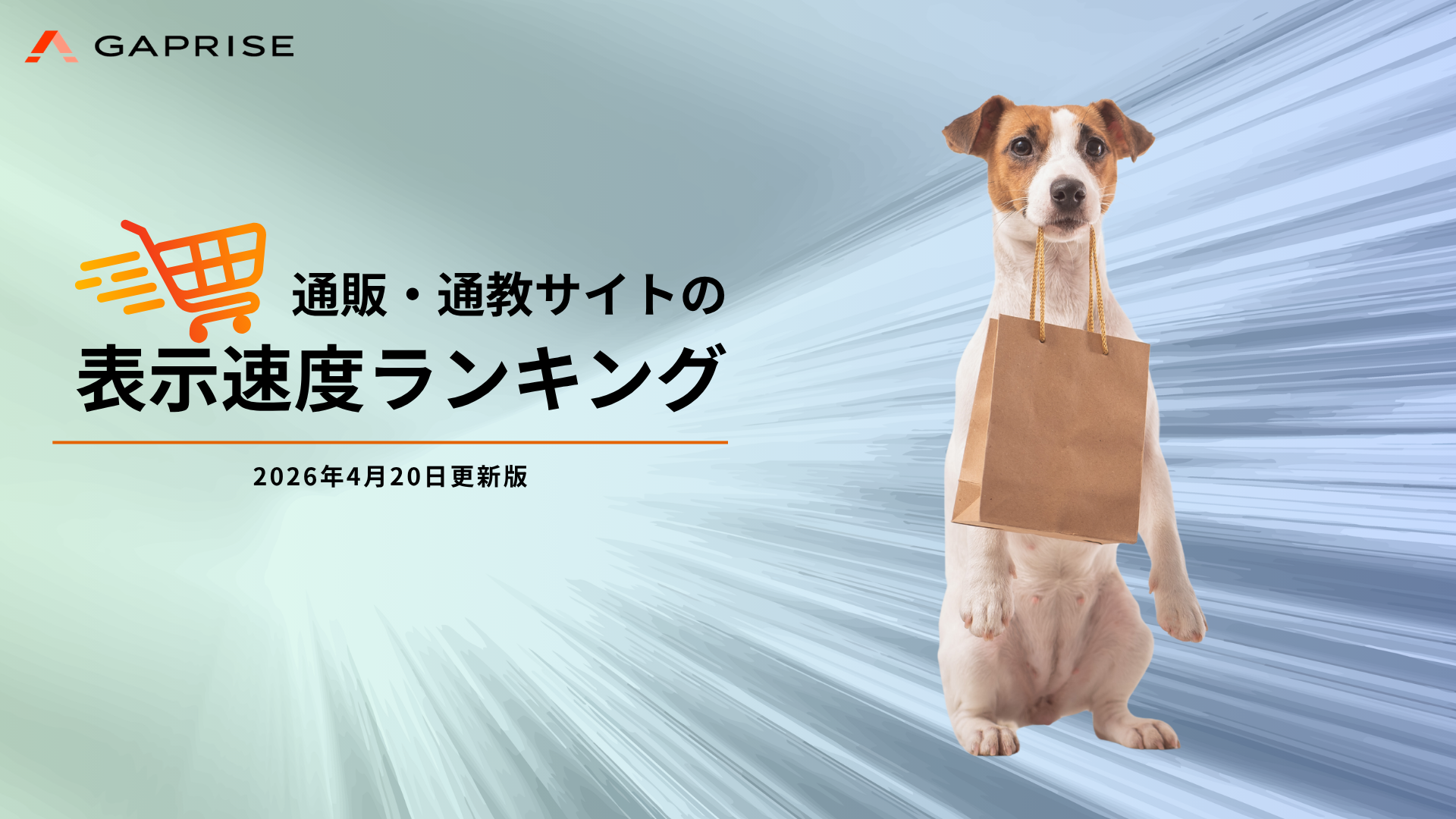 通販・通教サイトの 表示速度ランキング_表紙